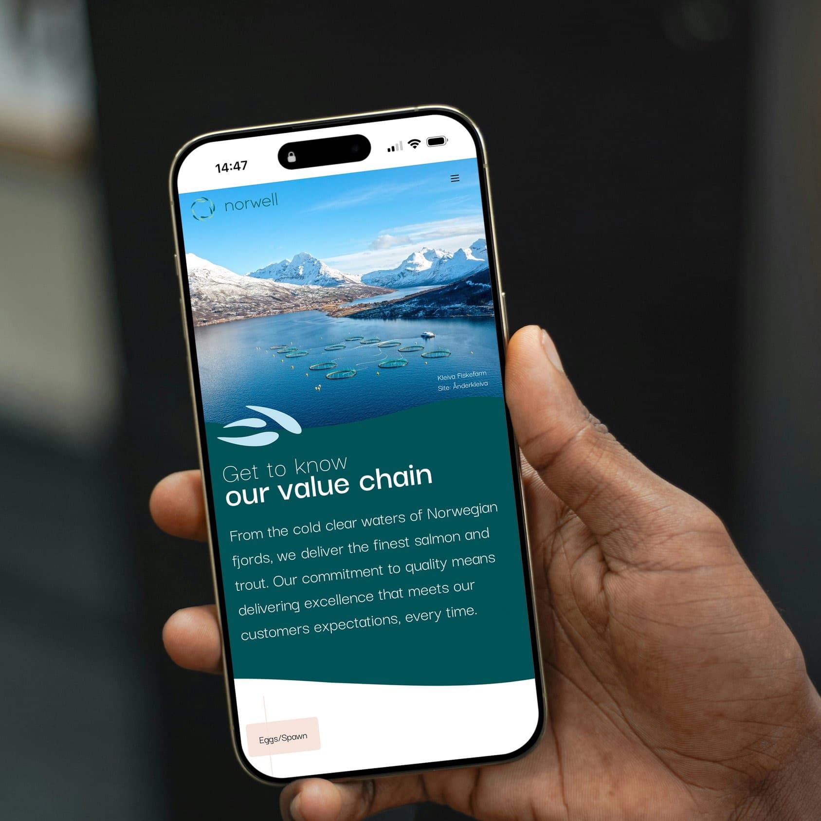 Hand som held ein mobiltelefon som viser ei nettside laga av VOOKAL